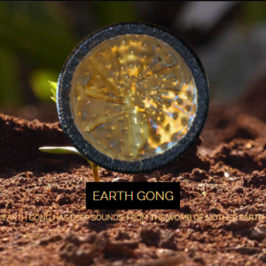 EarthGong