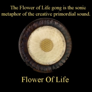 FlowerOfLife3